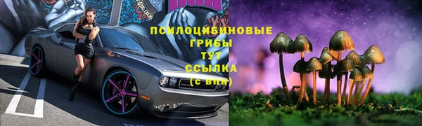PSILOCYBIN Балабаново