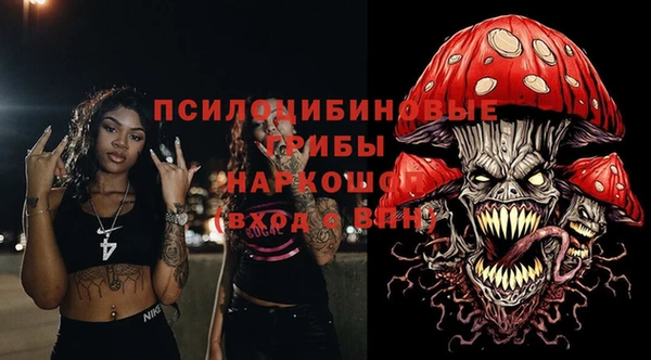 PSILOCYBIN Балабаново