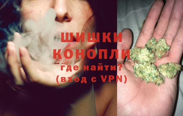 PSILOCYBIN Балабаново