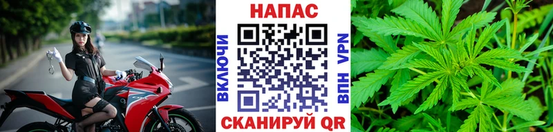 МАРИХУАНА сатива  как найти наркотики  Горнозаводск 